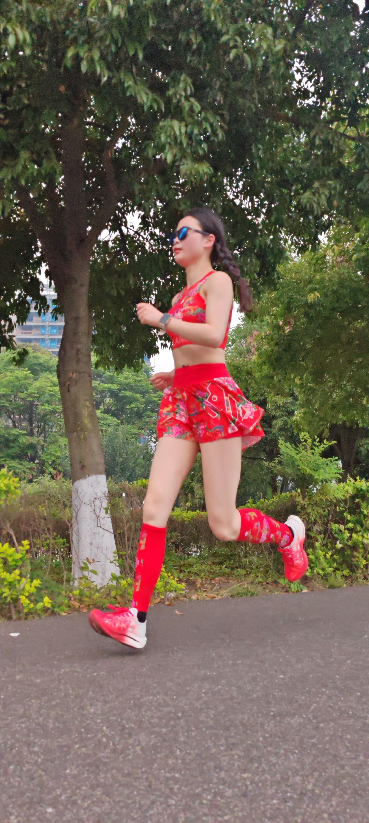 又是被拉豁旳一天，小趴菜一个