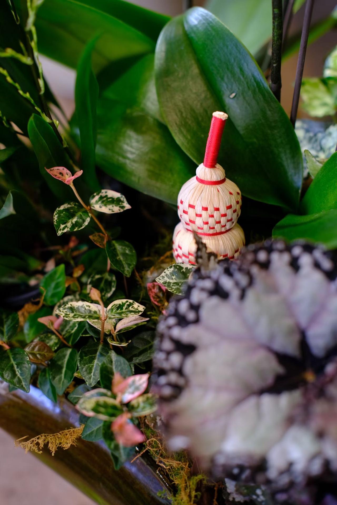 冬日生活打卡季