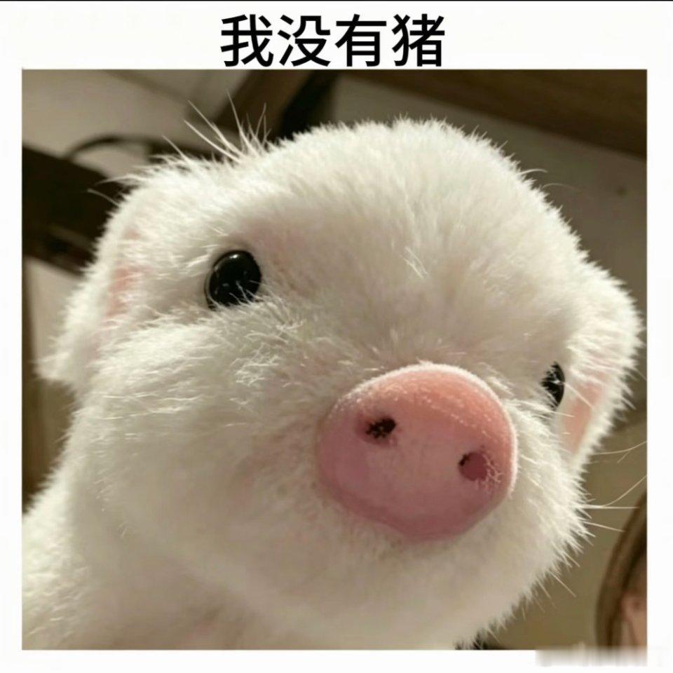 我猪呢 