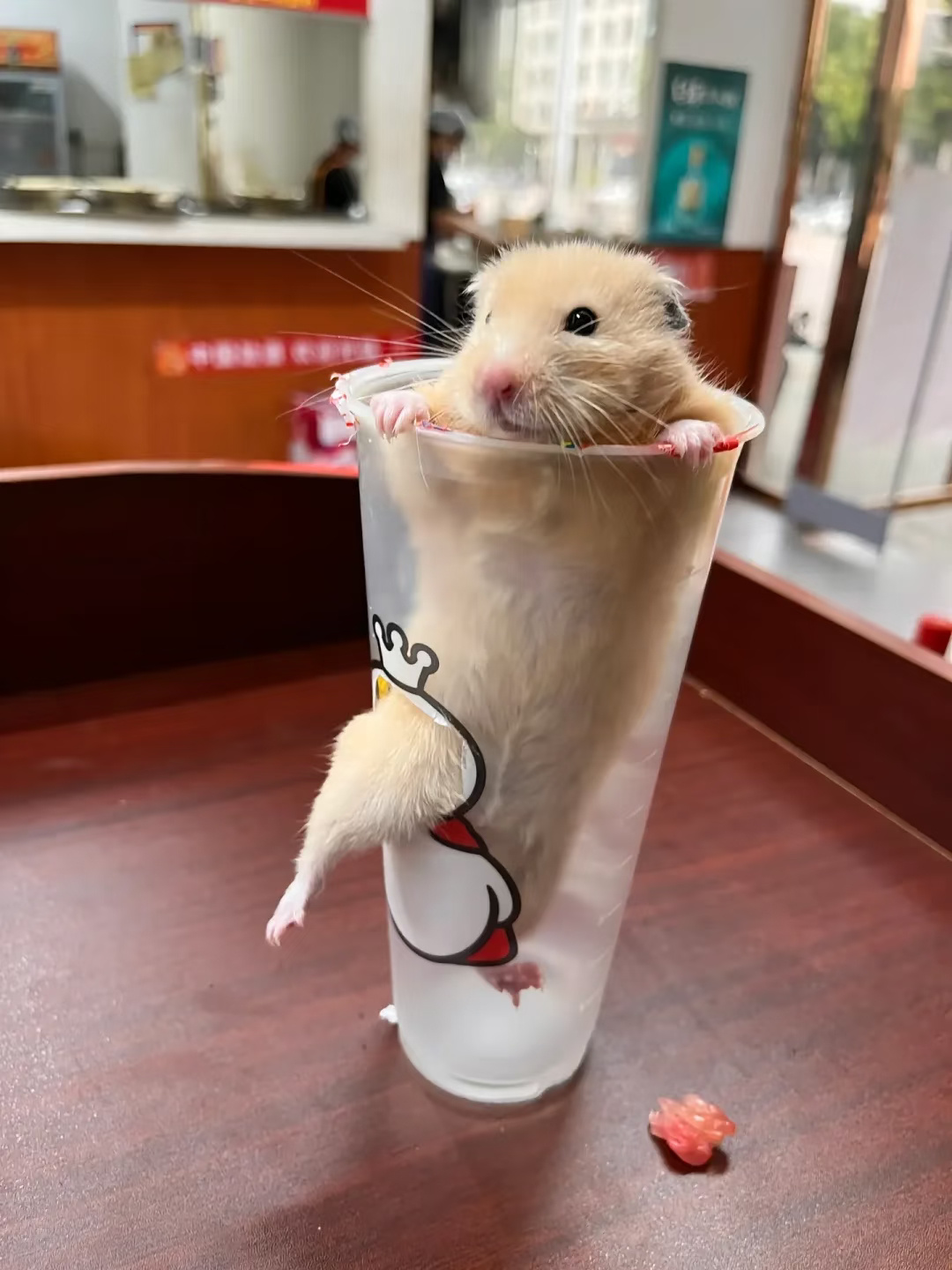 主打的就是一个叛逆 