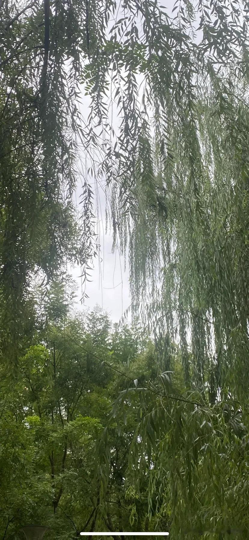 #上联：湖南湖北湖对湖， 下联：#山东山西山对山[捂脸]