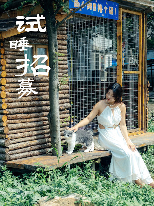溧阳试睡招募｜与有趣灵魂共绘夏日图鉴