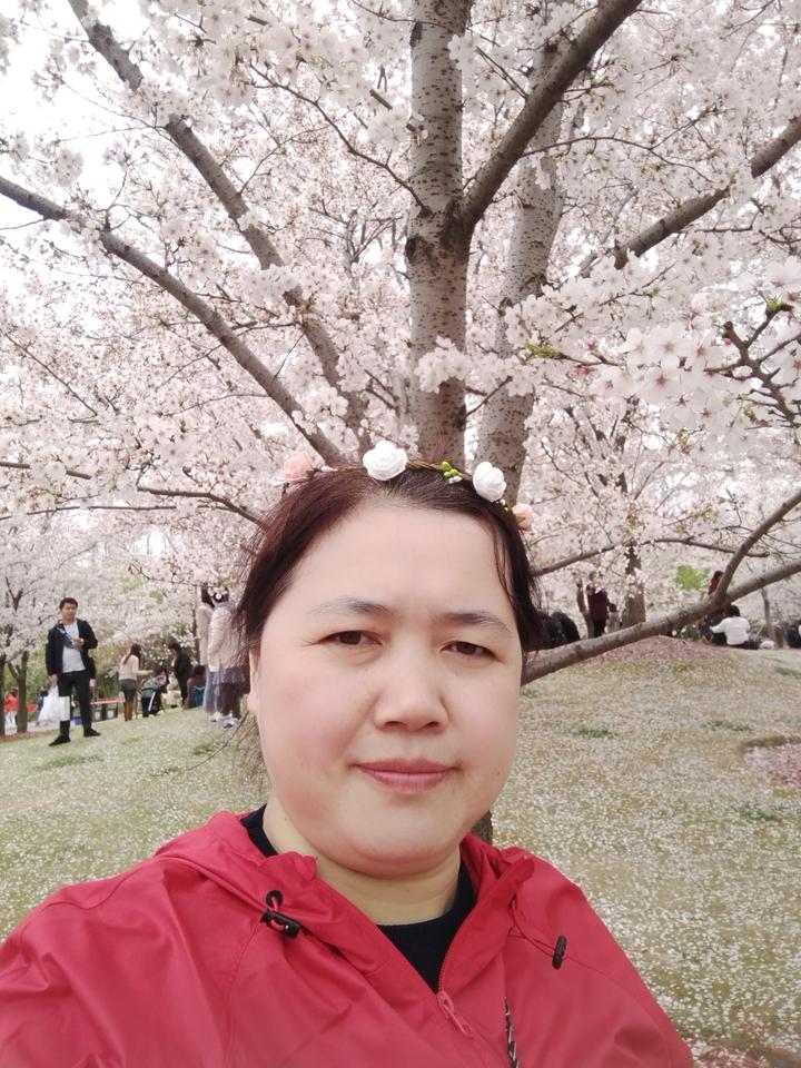 以前的樱花🌸照片基本上找不到了！

相册里再看看应该还有点…[捂脸]

🈶顾