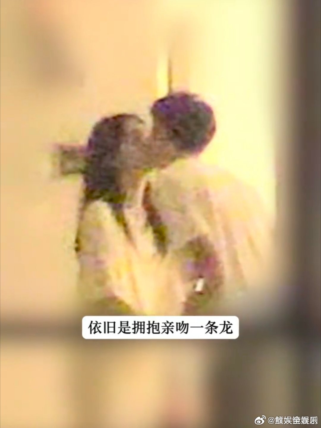 周也和新男友差五岁周也新男友是03年的周也男友完全小奶狗 完全是年下小奶狗啊哈哈