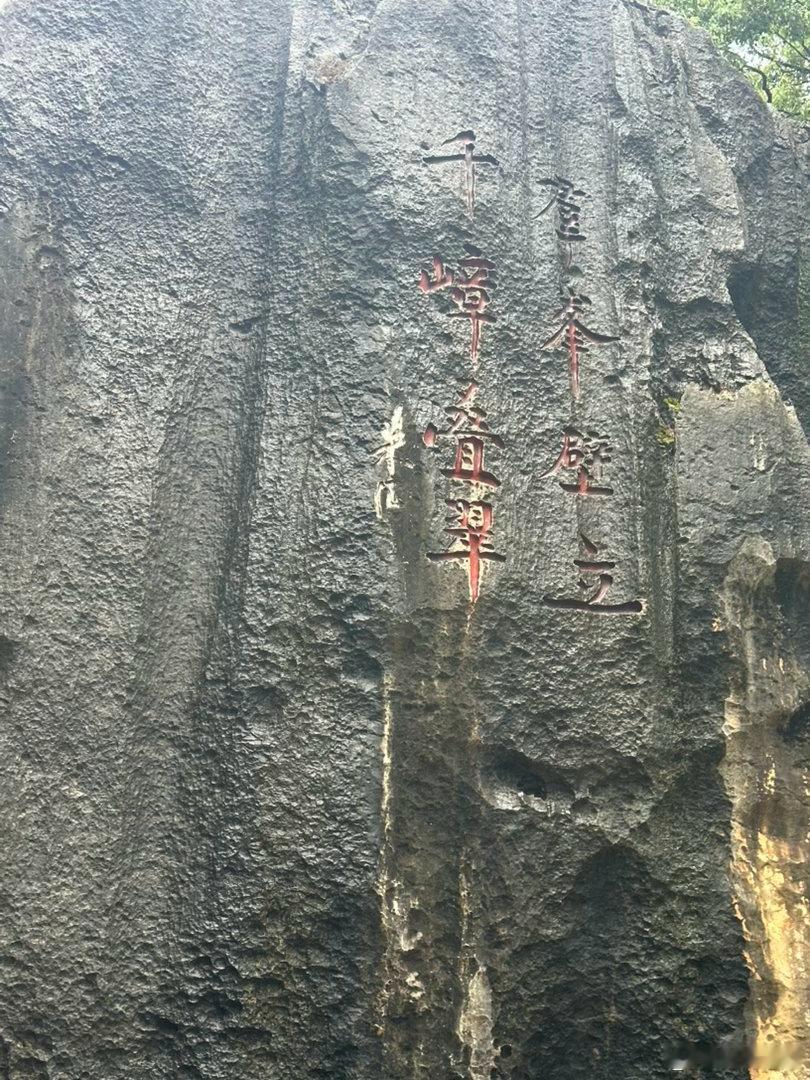 阎肃观察【云南石林旅游获游客点赞 优质导游服务彰显文旅暖心温度】肃言肃语云南体验