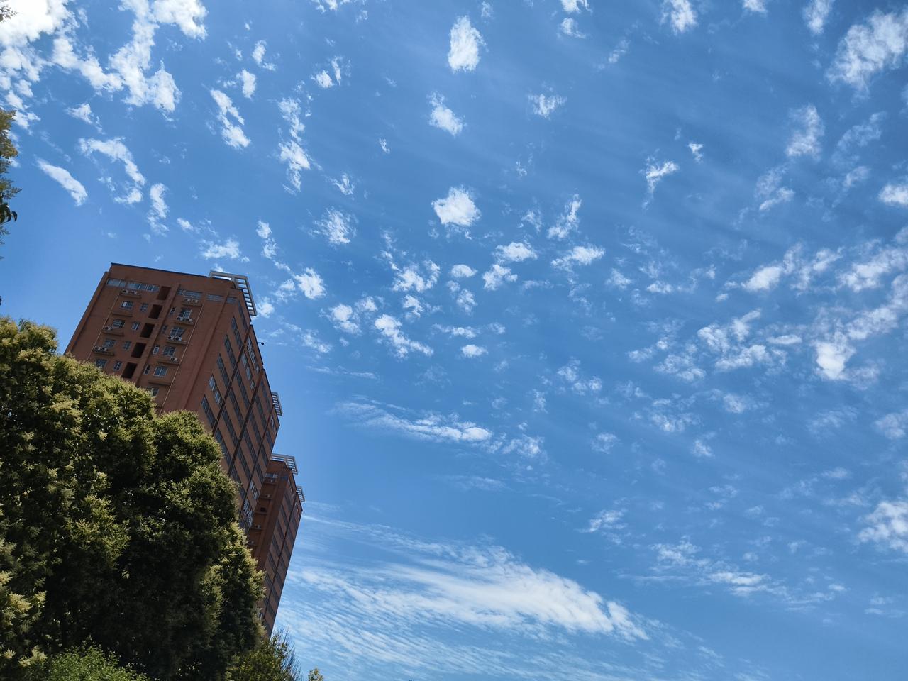 一旁的红砖楼静静立着，树影在墙面上轻轻摇晃，连平时有些喧嚣的城市，此刻也安静下来