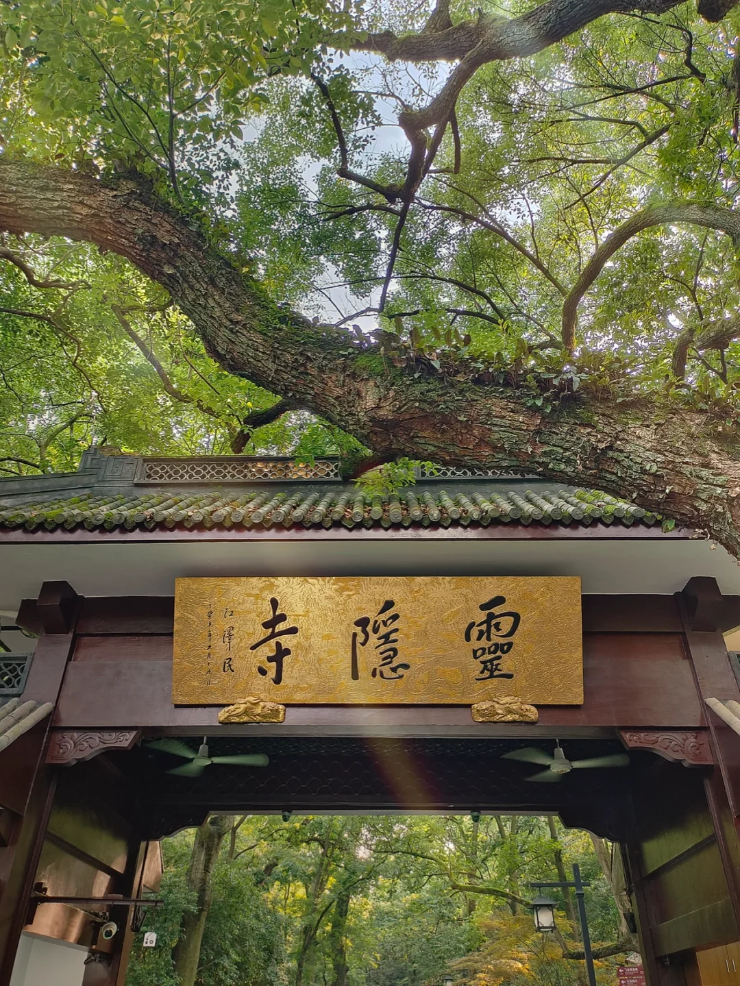 杭州旅游｜灵隐寺，进来许个愿吧🙏