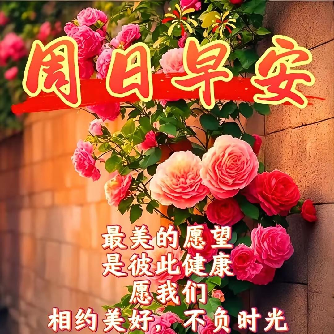 6.7日🌹🍎🍎早安😁♥️🌹
友友们：平安、喜乐、健康！为高考学子加油[