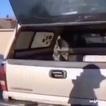 莪被砸了 ​​​