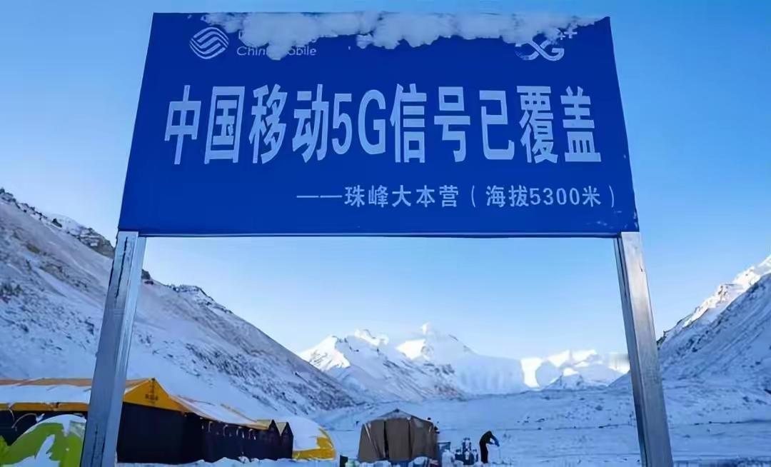 世界真奇妙。小的长大了，大的长小了。九年的光阴见证着这一家人的幸福生活。[玫瑰]