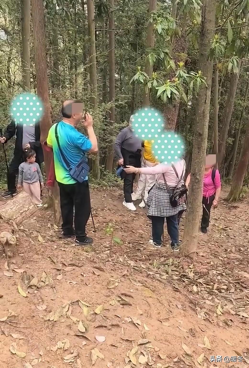 离谱又揪心！南昌一群老人硬闯野山被困，求救时还冲救援人员发火，真是又可气又担心！