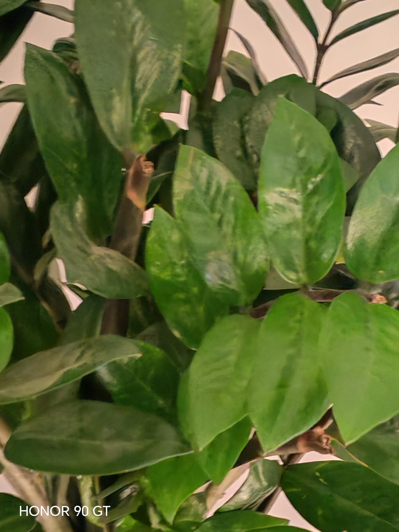 春天花会开，
快乐每一天。