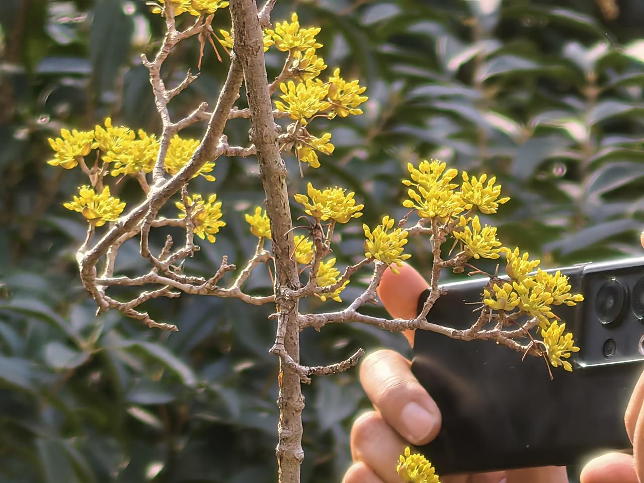 记录我的2026闺女拍的，挺好。