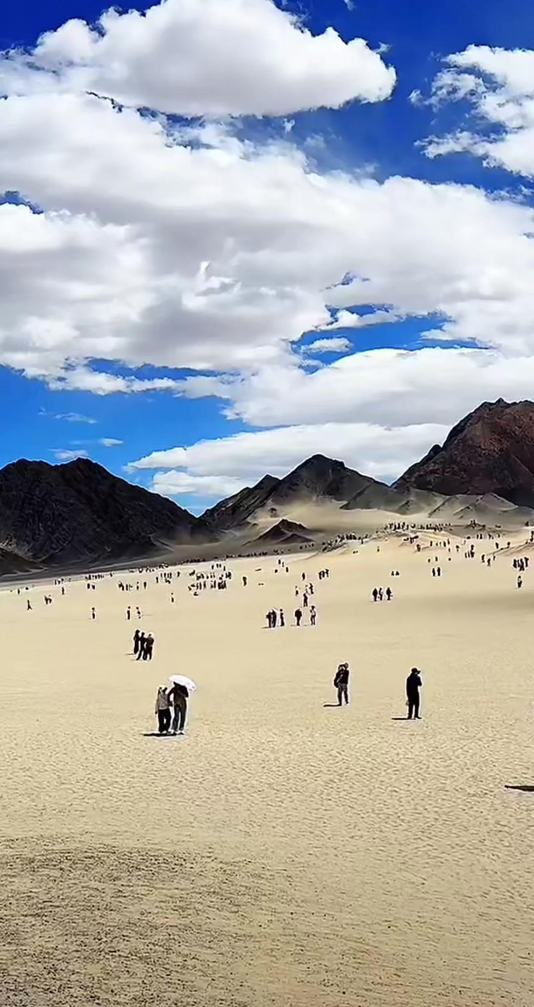 在青海的土地上，许多人都知道了杨紫的生命树。黑独山的独特地貌，是大自然描绘的抽象