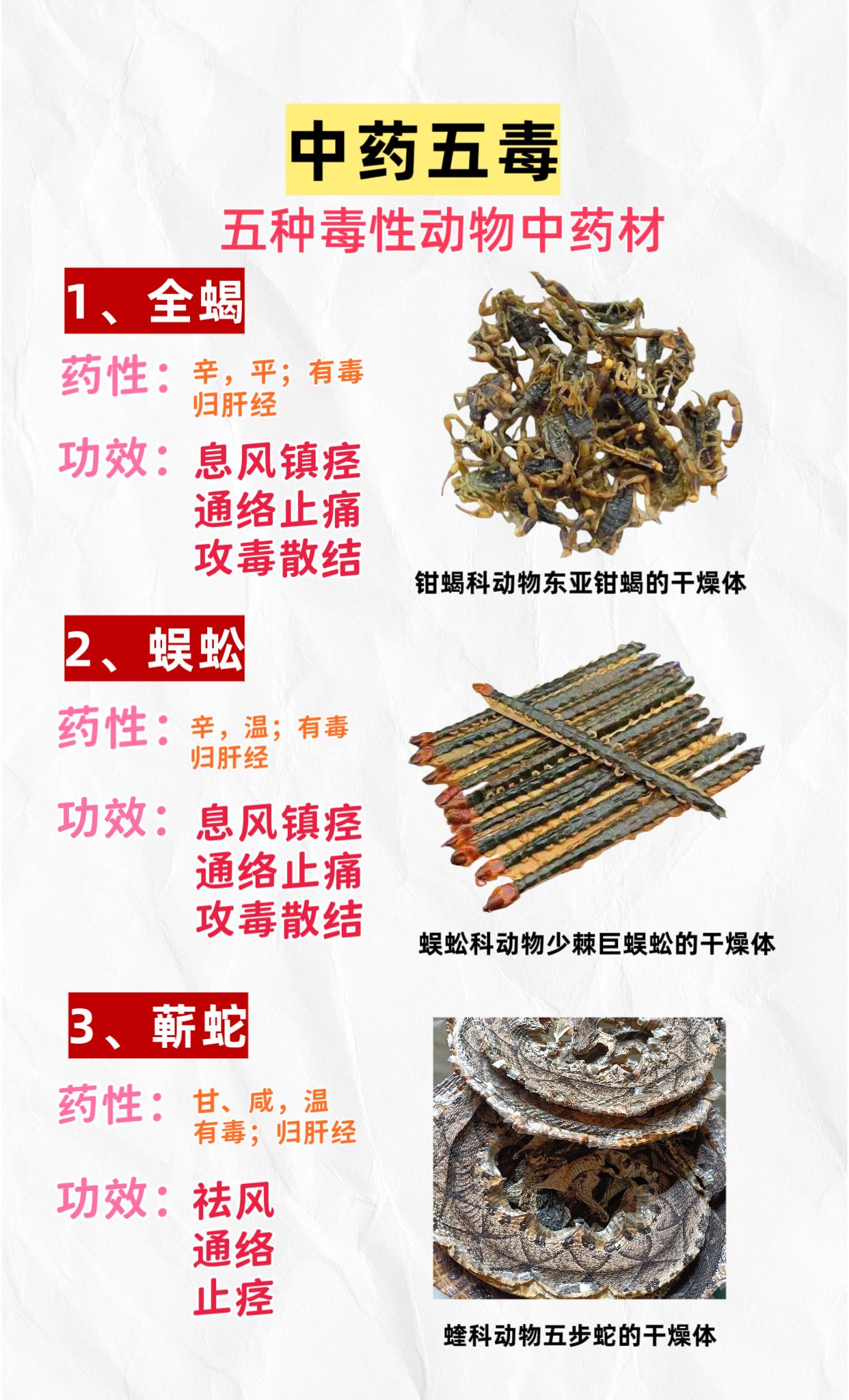 中药五毒。五种毒性动物药：全蝎 蜈蚣 蕲蛇 蟾蜍 壁虎