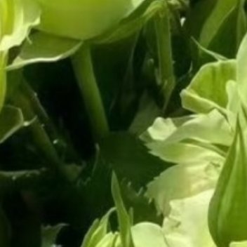 0000善意不必声势浩大，都藏在烟火日常。好好说话，多换位思考，默默积攒属于自己