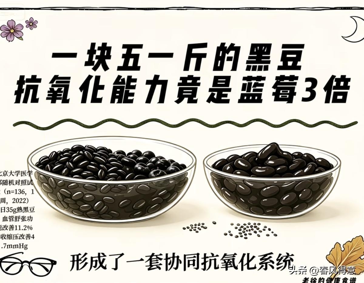 请您别在傻傻吃蓝莓了？菜市场常见的黑豆，抗氧化能力惊人，花青素含量是蓝莓的2-3