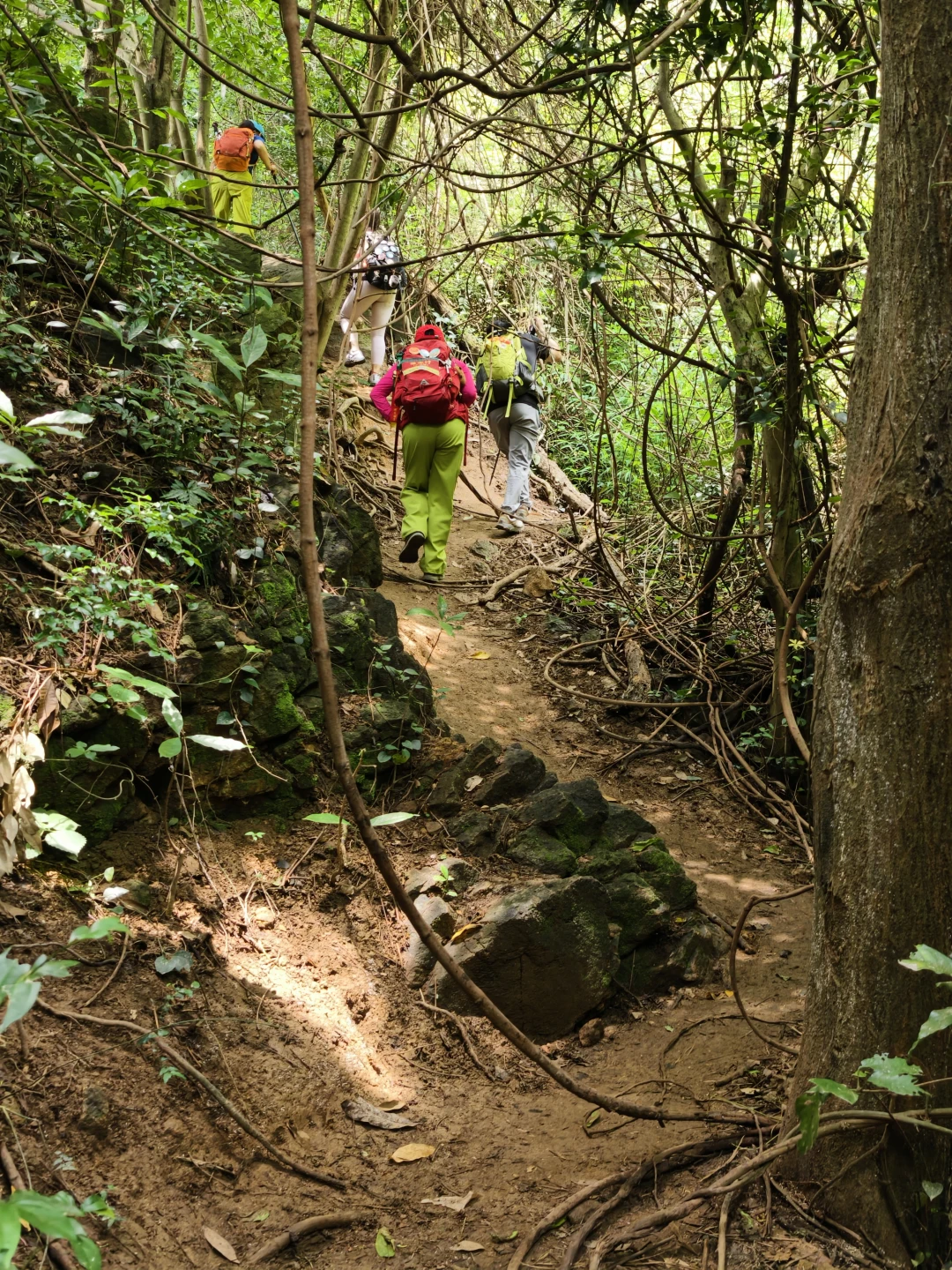 5.12西樵山野路探洞，不走景区大门进