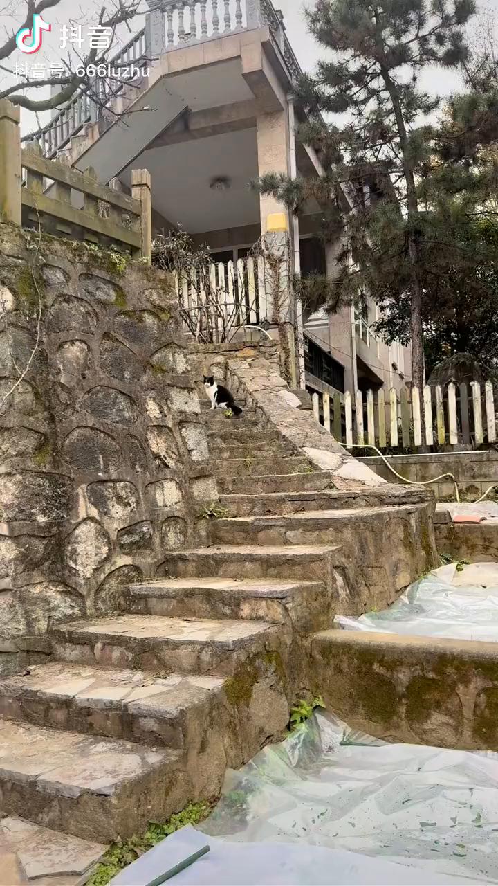 来抖音用同款道具，高清画质修复道具。