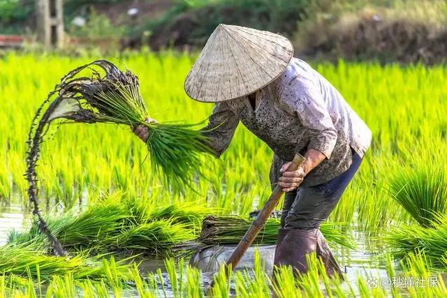 苦练成语200天！

第八天-----形容农民的成语

土里土气      土头