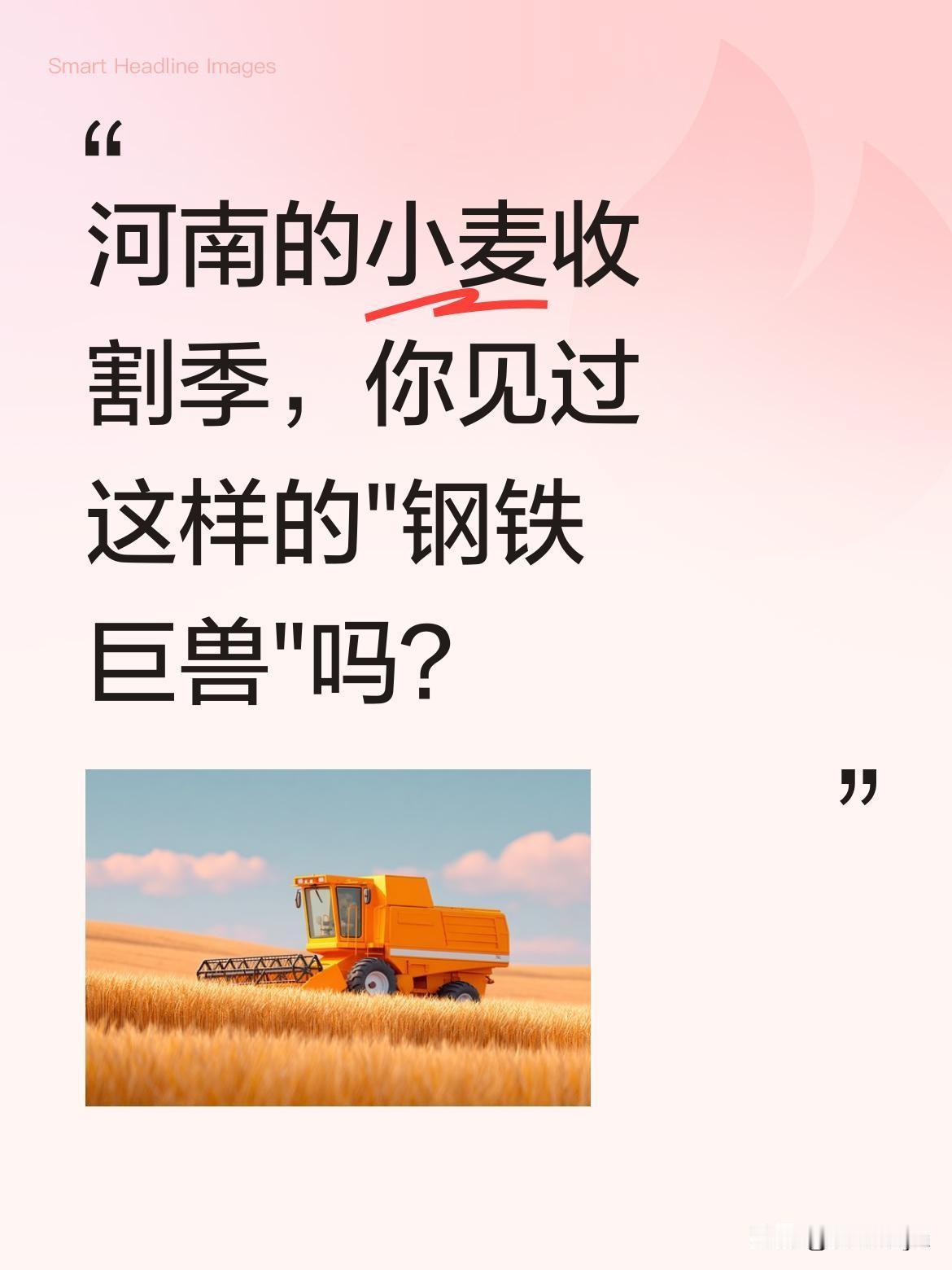 河南的小麦收割季，你见过这样的"钢铁巨兽"吗？
中原粮仓迎来丰收季，克拉斯870