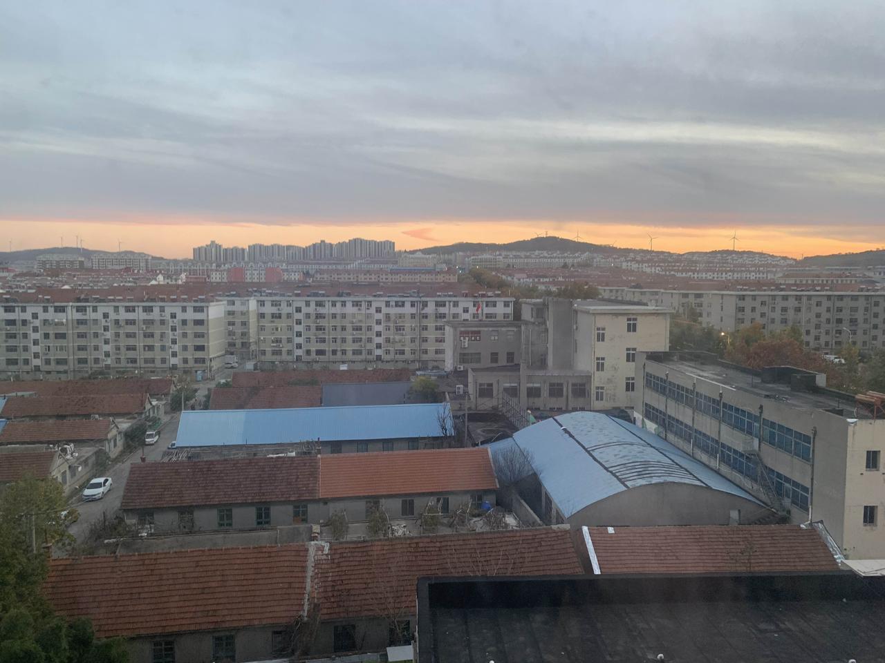 今日分享随手拍照片