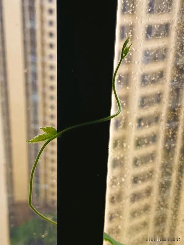 昨天
今天
明天
每一天
都如此重要
每一天
都是生命的一天
每一天都很短暂
每