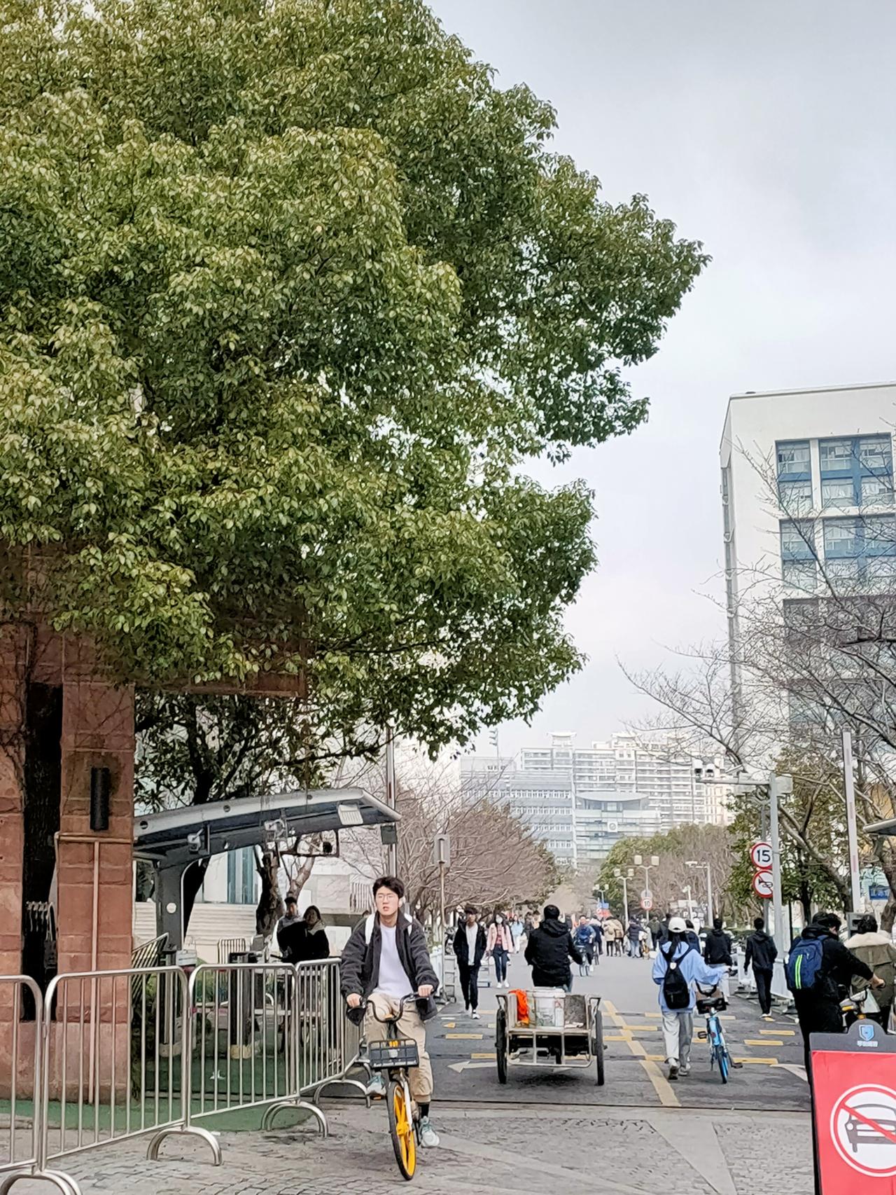 春风吹拂，万物更生。花儿朵朵，渐渐绽放出绚烂的色彩，粉的如霞，白的如雪，红的如火