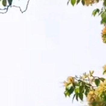 大河上下浪滔滔，冰融雪化开河道。小溪流淌欢歌唱，燕子回归高声叫。耕耘播种时节到，