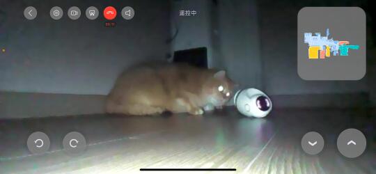 周末出来玩没带它！把摄像头当玩具了😡