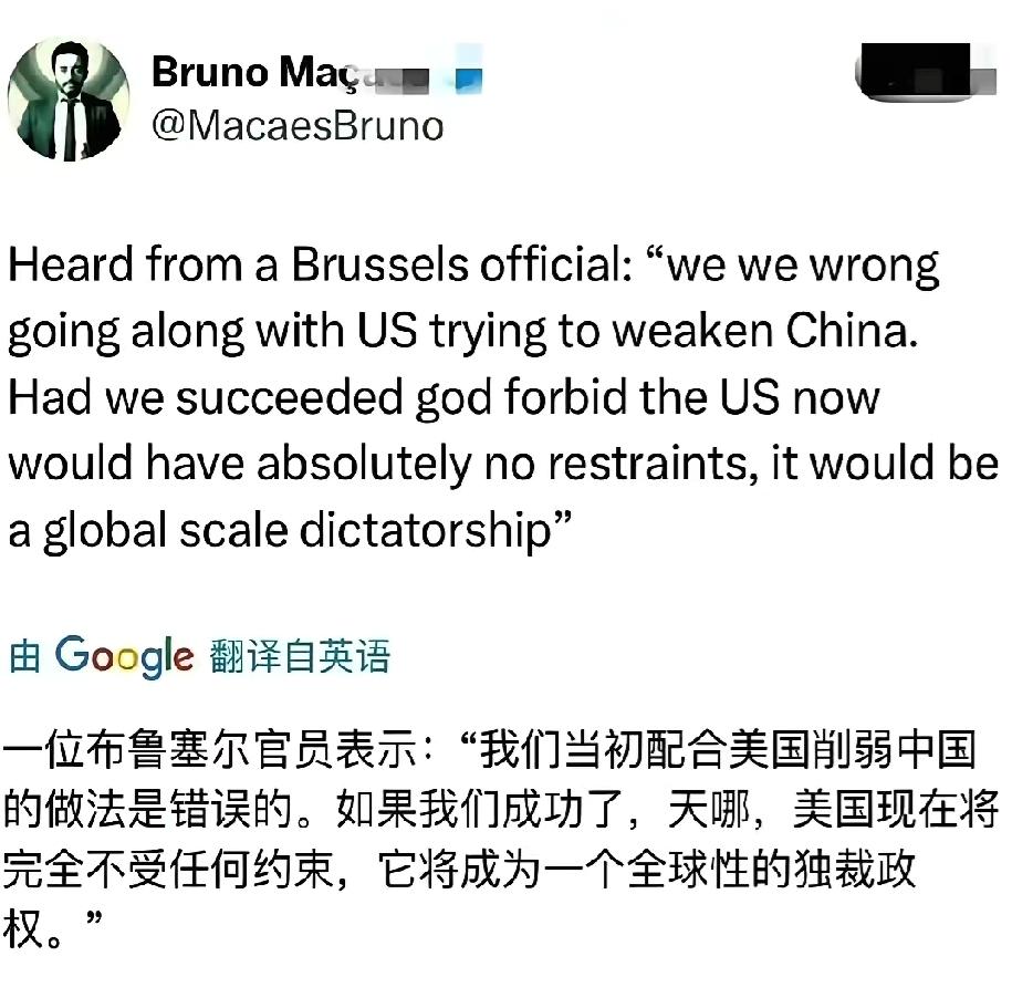 欧洲人觉醒了！当初遏制中国是错误的，幸亏没有成功！
人教人不管用，事教人一次就印