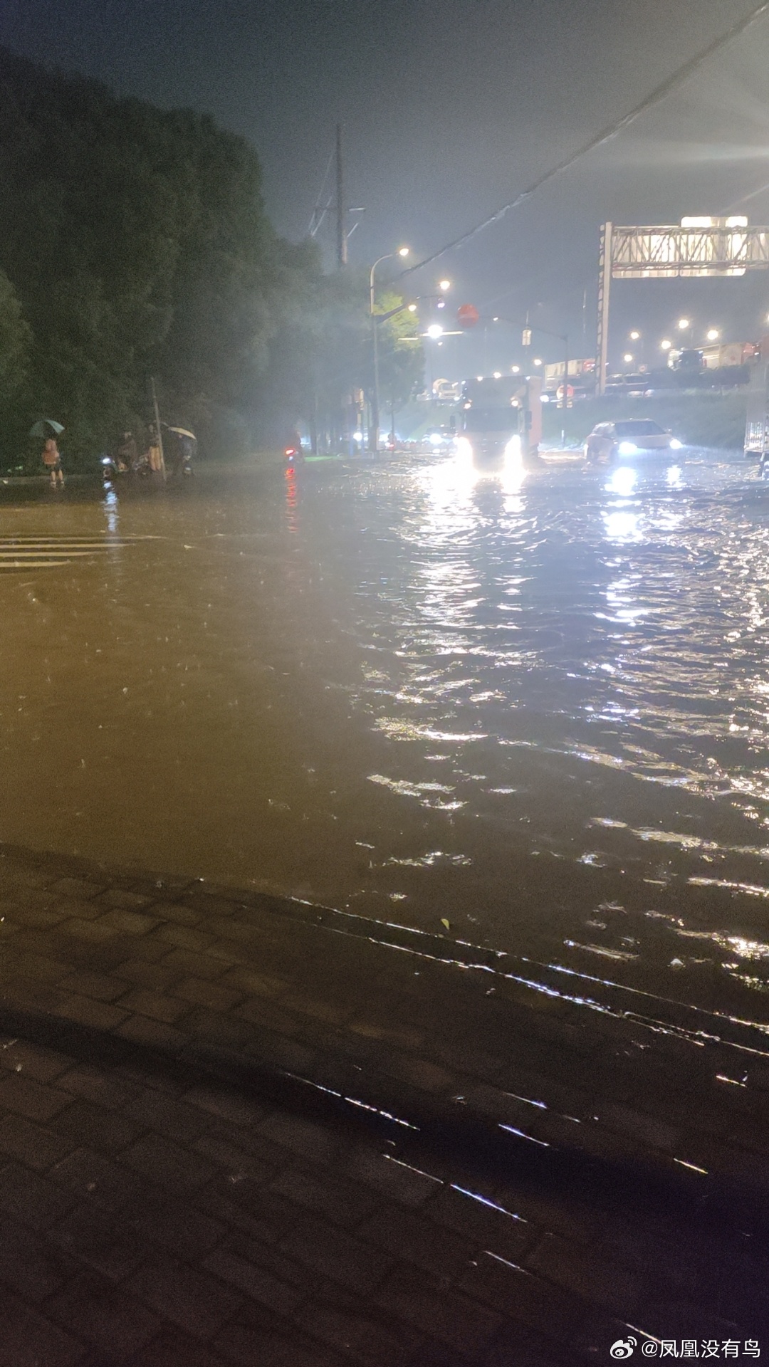 我的妈，今天上海下大暴雨开车如开船 ​​​