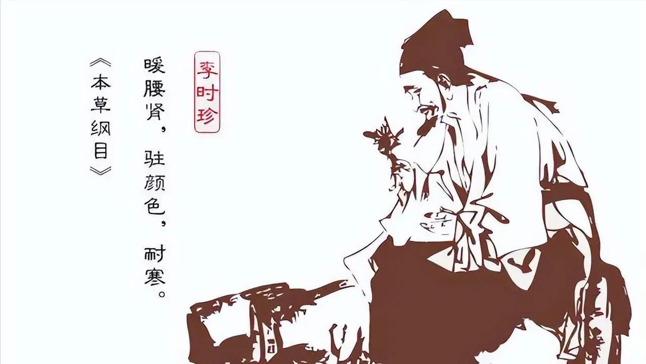你还在为各种常见病烦恼吗？别担心，这里有14种常见病的“首选”中成药，便宜好用，