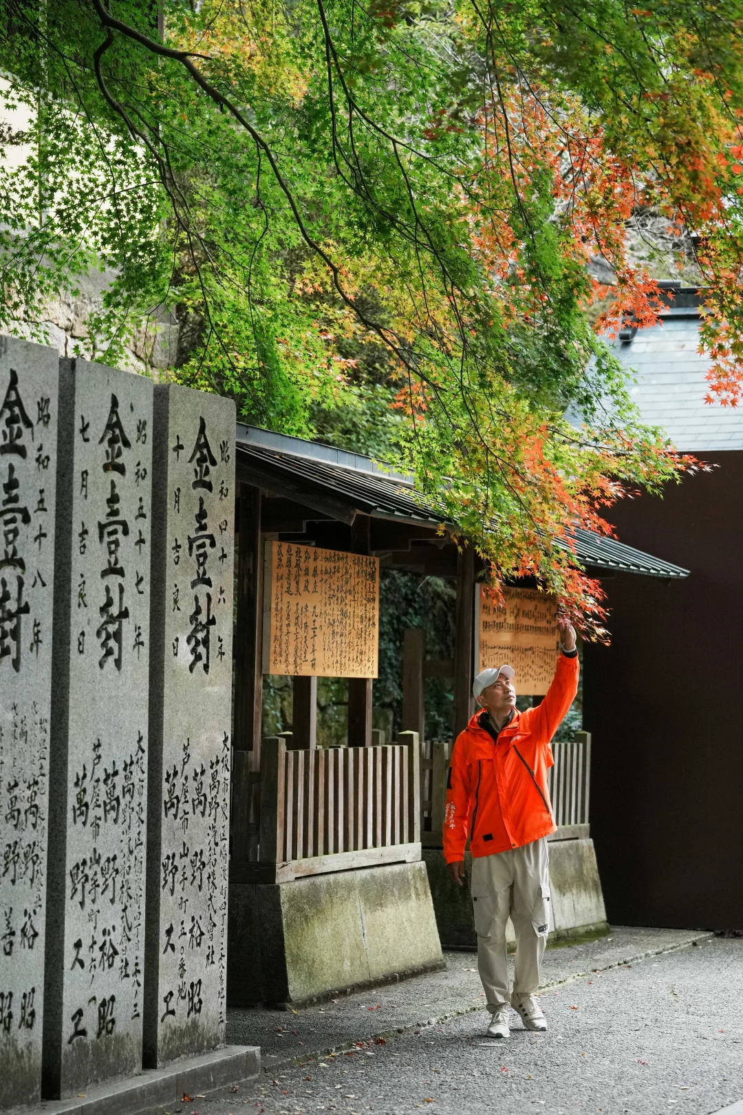 香川县，一个充满历史文化与自然风光的地方。这篇笔记会带大家一起探访香川县的经典景