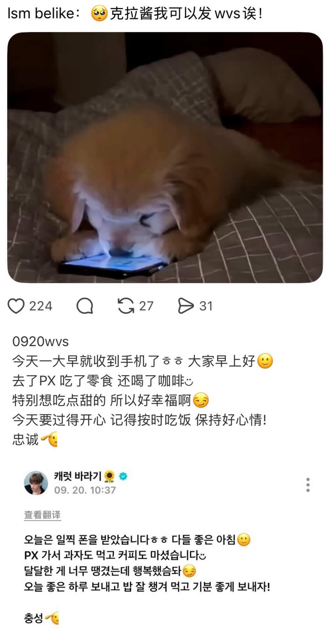 将开始期待每个周末🥺🫳🏻
seventeen 李硕珉 开始期待下个周末了