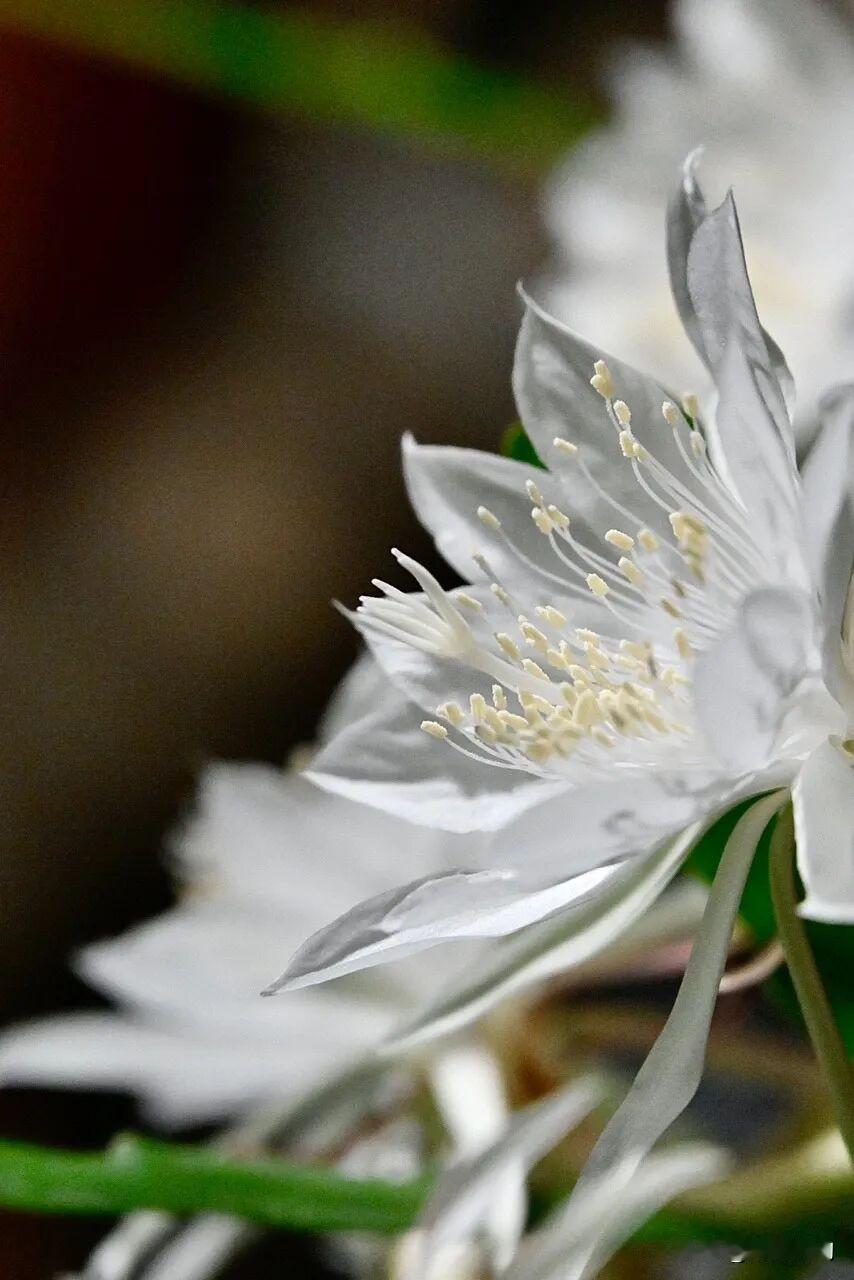 秋深不语，岁月自甜，且怀一份安闲心境，静待下一程山水相逢。