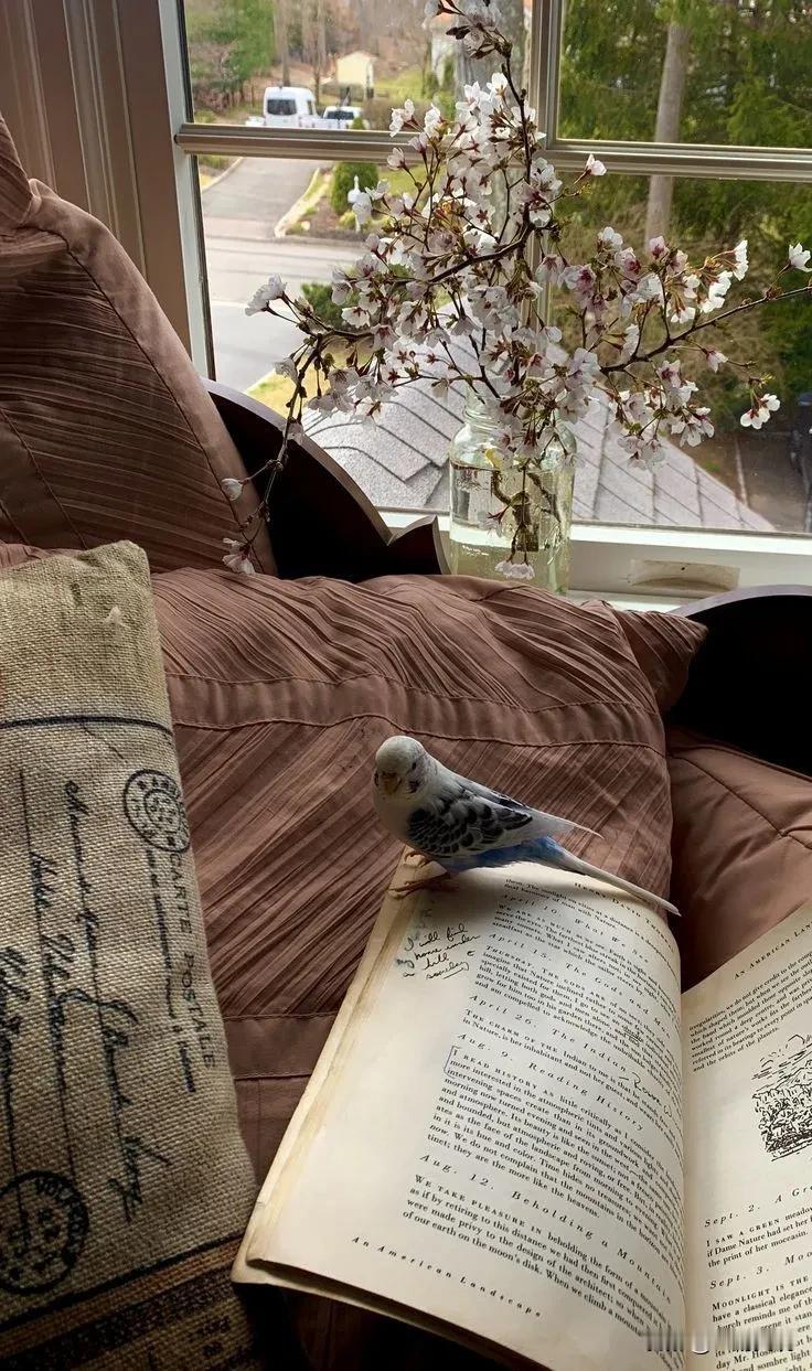 这些世间治愈的图啊，看着真是赏心悦目，用简短的线条勾勒出轻松惬意的氛围，在画里，