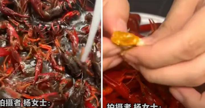 洗碗机“洗熟”小龙虾？业内人士提示：偶尔能洗，绝对不能直接吃
