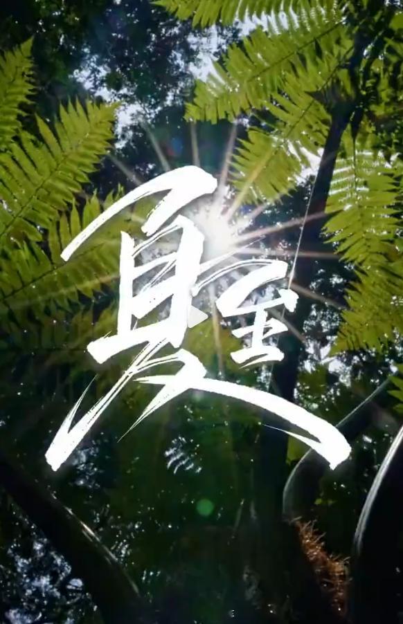 夏至 作为白昼中最长的一天，在古代称 “夏节”“夏至节”，是重要民俗节日。亲友相