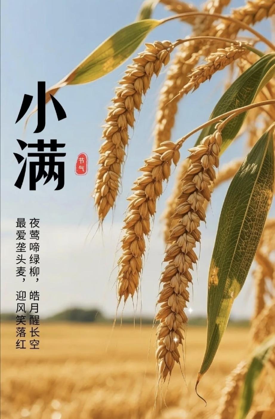不是迷信！明日小满，3事别大意：1要吃，2不做，3要忌，安稳平顺过盛夏
 
家人