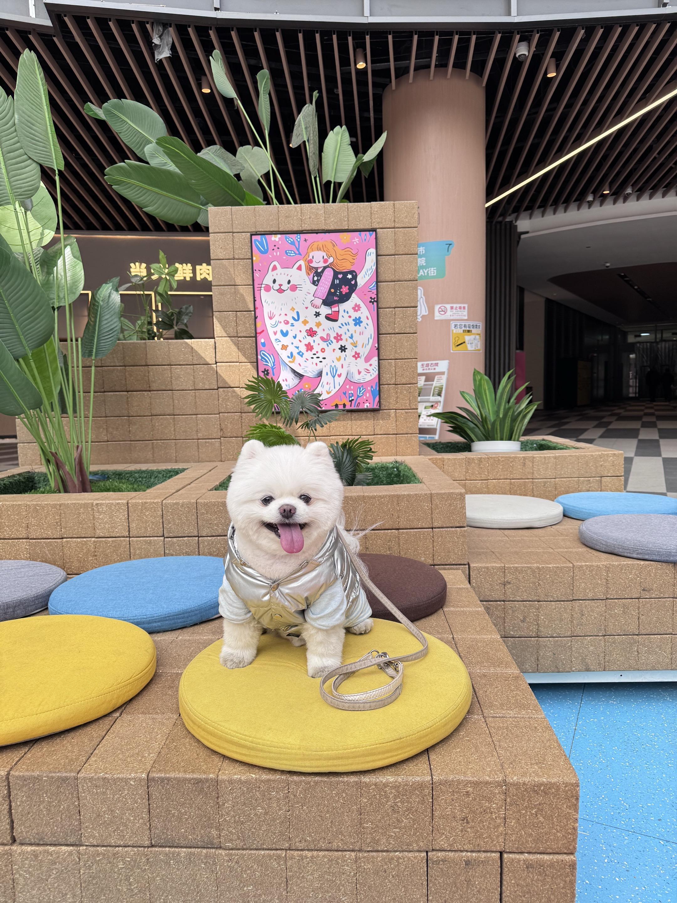 这给我宝儿困得，这回玩儿爽了吧 🤓