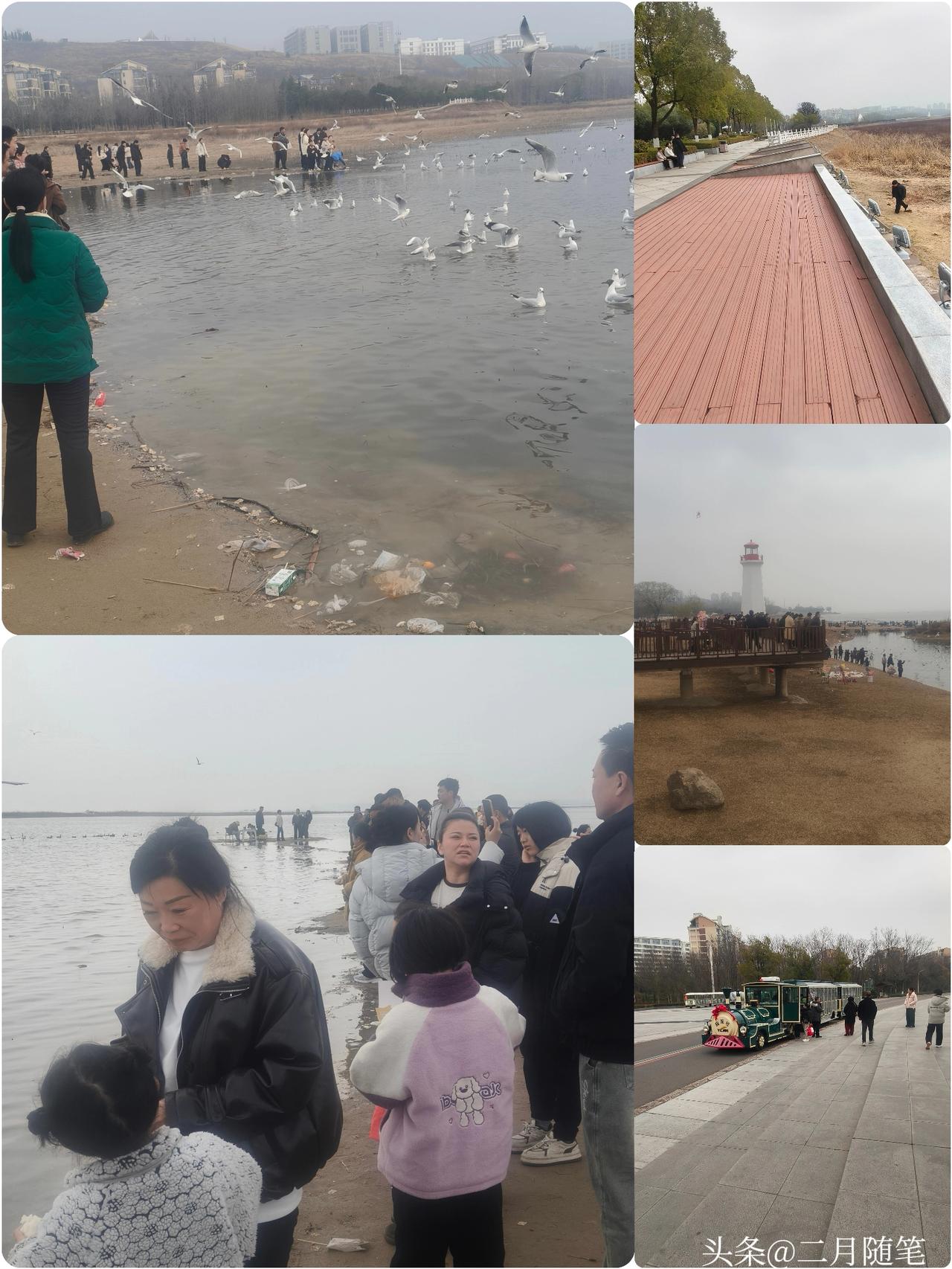 今天带大家去个好地方:
湖畔观景台，
看湖水荡漾，
飞鸟翩跹。
感受大自然的宁静