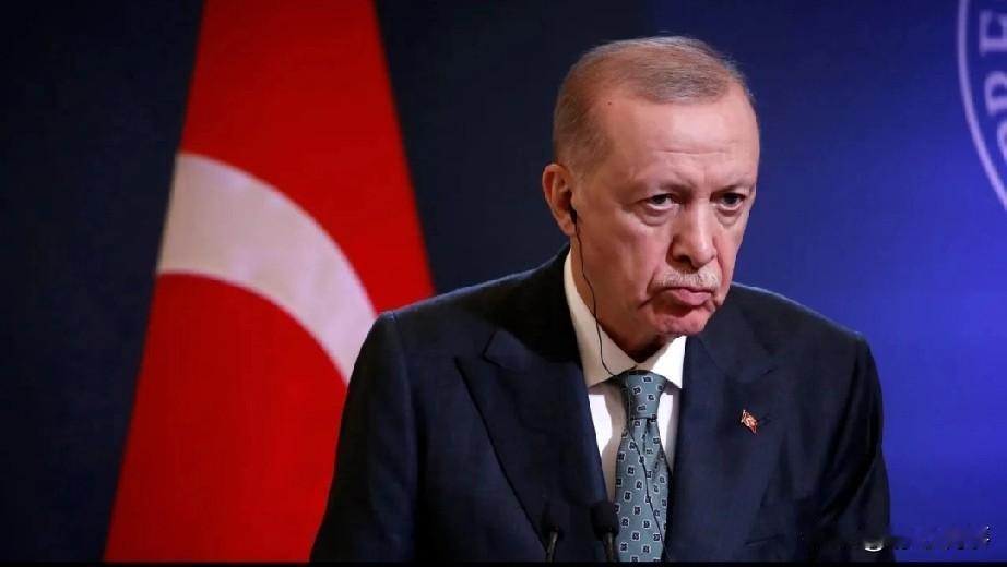 2025年最后一天深夜，土耳其出台重磅政策：埃尔多安签署总统令，2026年1月2