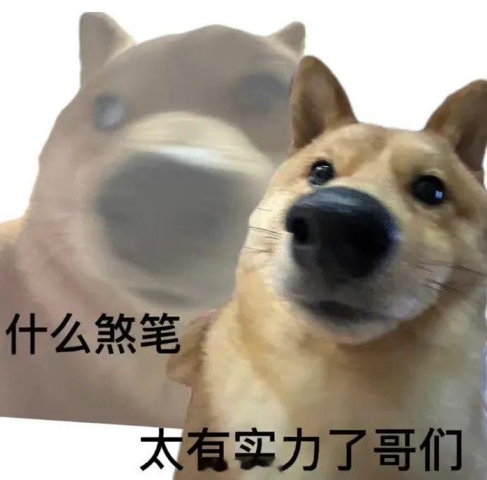聊天必备表情包第679弹汪汪旺旺 ​​​（拿图吱声） ​​​