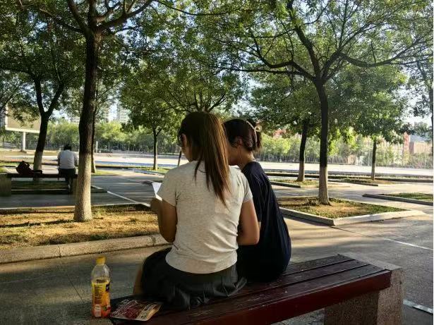 秦岭笑谈[超话]大学生暑期社会实践三下乡曲阜师范大学【青春逐梦行，共绘人才兴城新