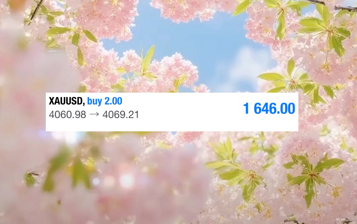 翻舱第3丹晚间因消息面在4060追多，拿到了4069，1600刀落岱黄金现货黄金