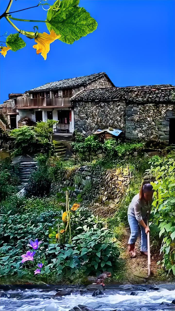 很怀念那个年代的农村生活，虽日子比现在过得清苦，但简单快乐，人性纯良，善良是大多