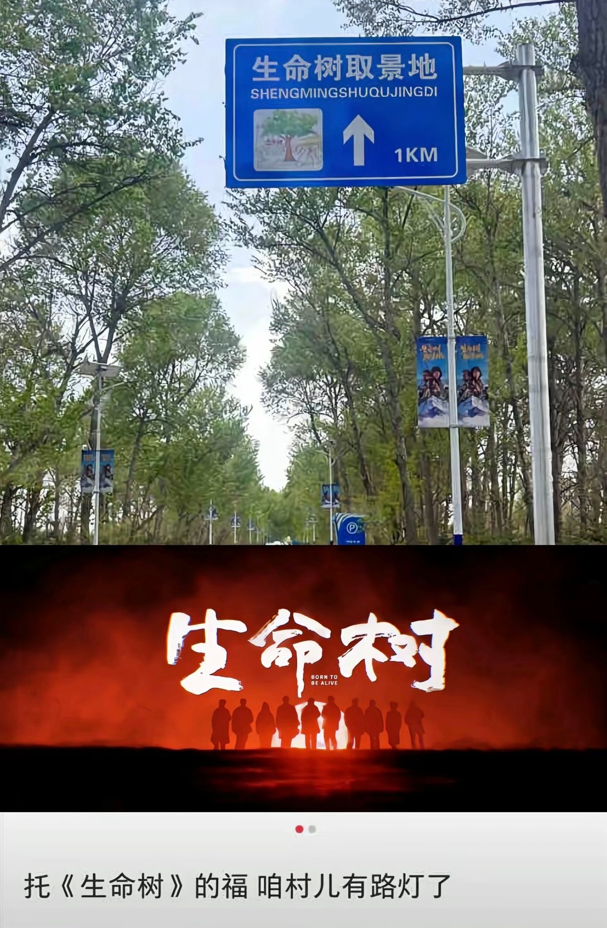 杨紫电视剧生命树“托《生命树》的福 咱村儿有路灯了”