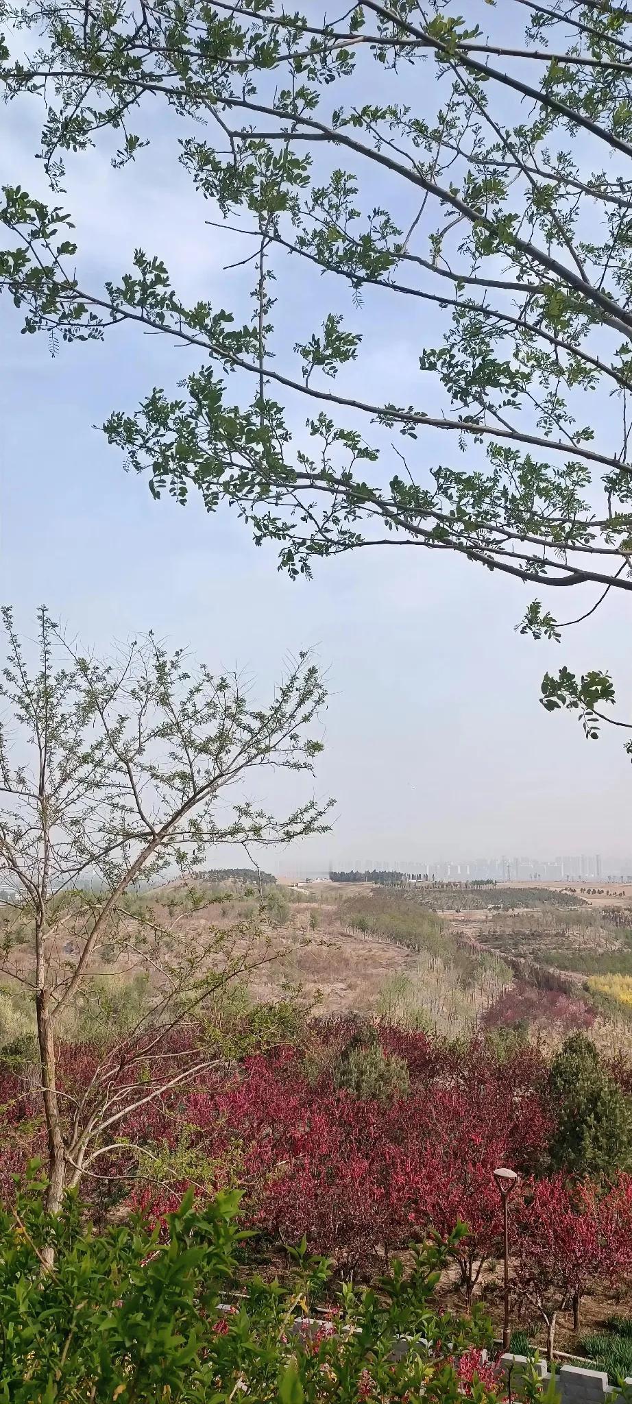 新加坡媒体《联合早报》的评论说，多数国家暗中希望美国政府碰到中国这样的“硬茬”，