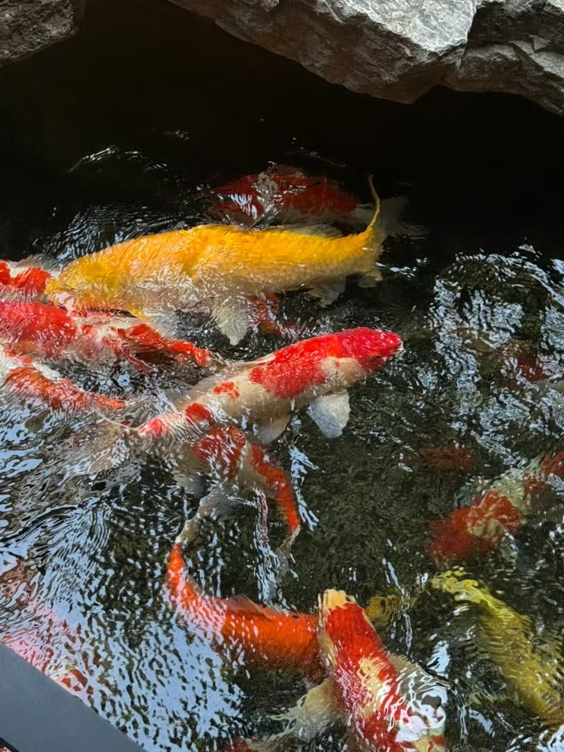 本周大吉，见即转赞，[祈祷]菩萨保佑你，一定会有好事发生的！！ ​ ​​​